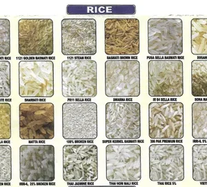 Rice